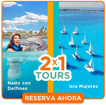 2x1 en tours isla mujeres catamaran + nado con delfines