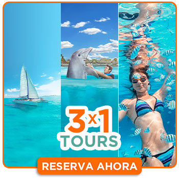 3x1 en tours isla mujeres nado con delfines y catamaran isla mujeres