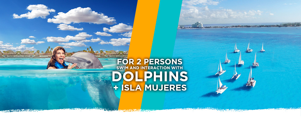 cancun dolphin swim adventure