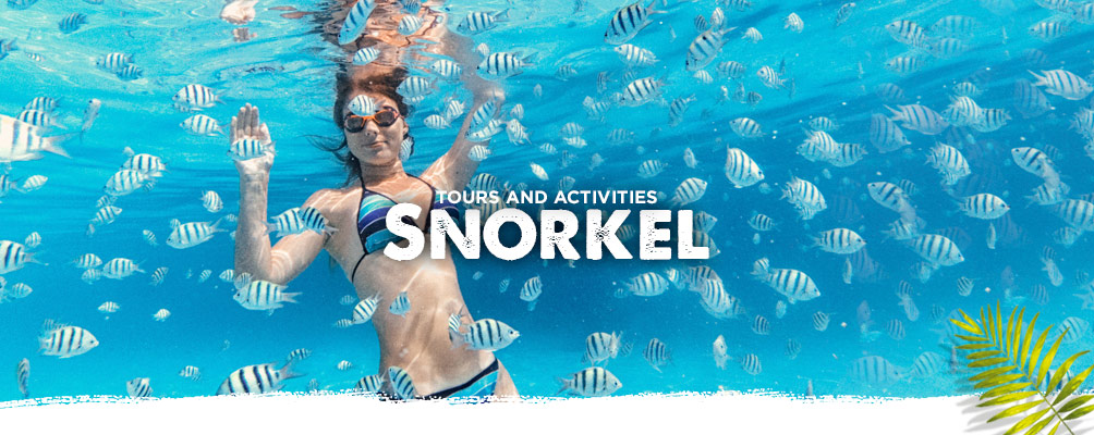 Snorkel tours