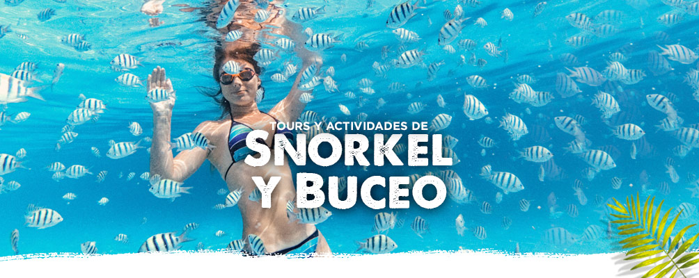 Tours y actividades de snorkel en cozumel e isla mujeres y cancun