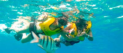 cozumel snorkel